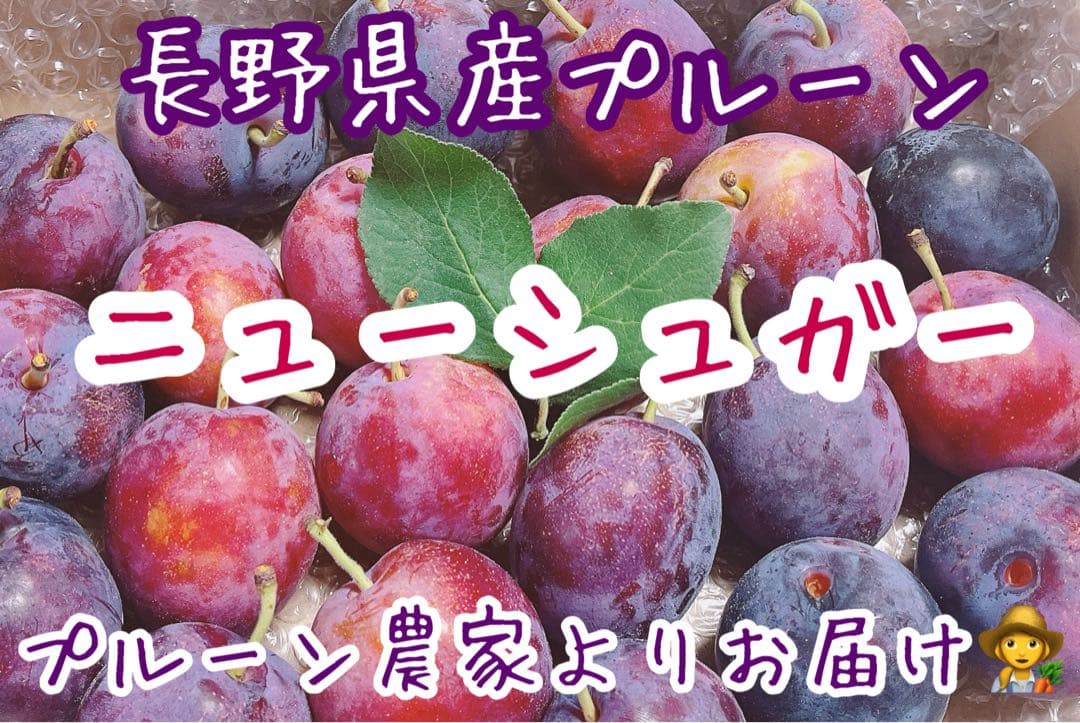 長野県産プルーン　2025終了しました　ありがとうございました(*˙˘˙*)ஐ