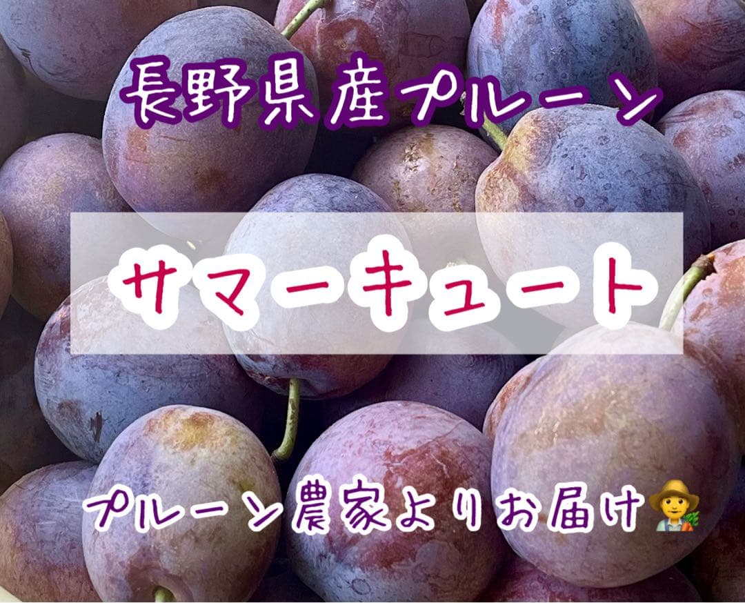長野県産プルーン　2025終了しました　ありがとうございました(*˙˘˙*)ஐ