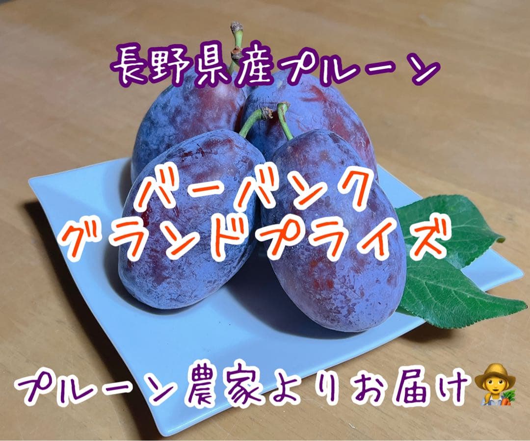 長野県産プルーン　2025終了しました　ありがとうございました(*˙˘˙*)ஐ