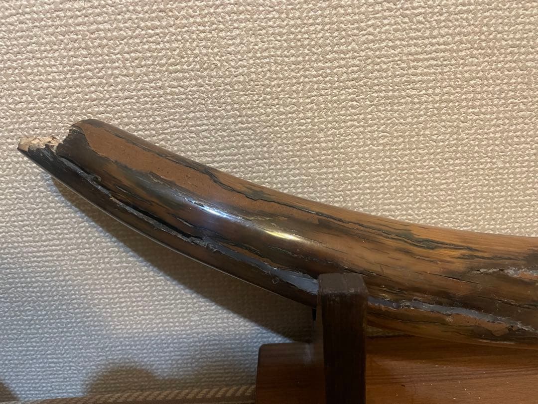 ★【実物】 大きなマンモスの牙 希少な一本モノ！ 美しい天然模様！