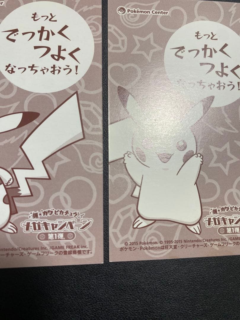 ポンチョを着たピカチュウ 名刺カード メガリザードンXY ポケモンセンター