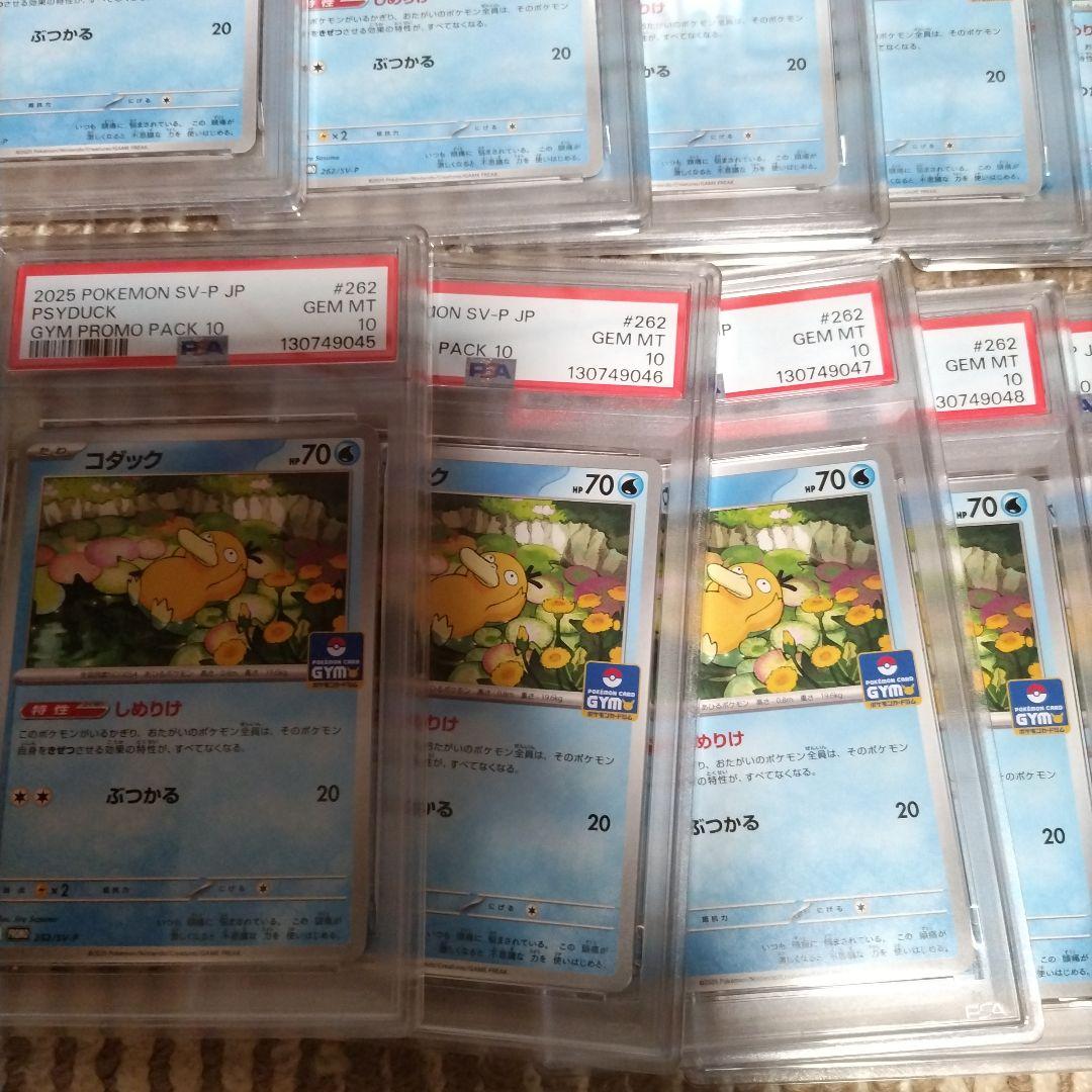 【PSA10】コダック しめりけ 262/SV-P ジムプロモ 20枚