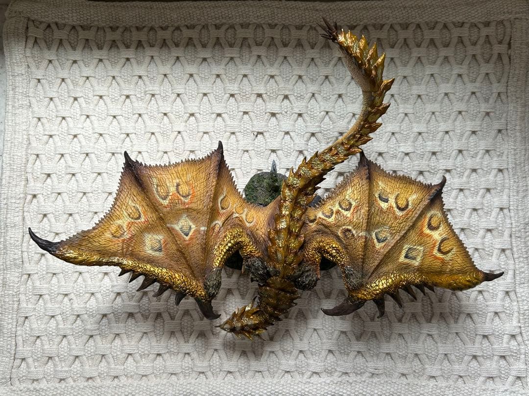 箱有 リオレイア希少種 リオレウス希少種 CFB