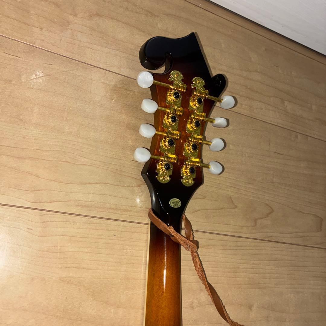 プレイテック　Playtech F型マンドリン　PFM10F ギグバック付き！