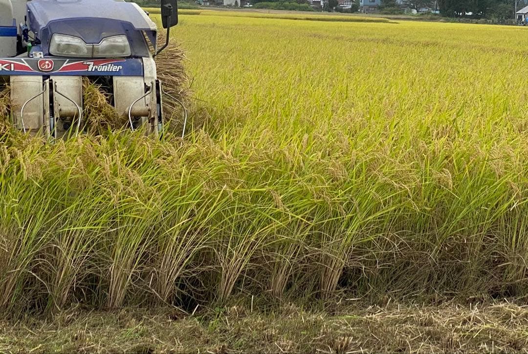 令和7年産　【中米】　魚沼産コシヒカリ　白米　20kg