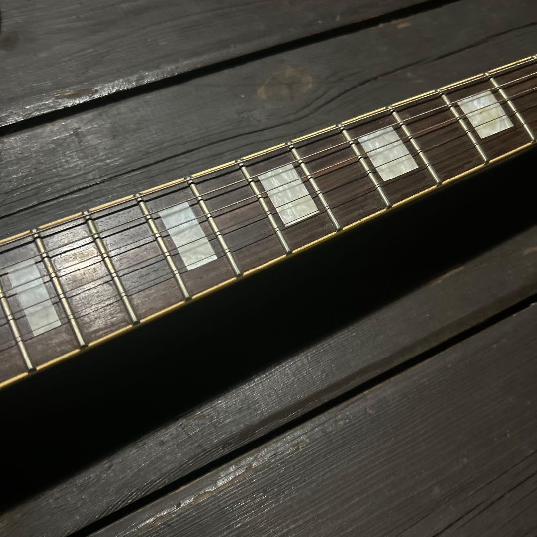 ビンテージ➕新機能　東海楽器の海外ブランドGESSION LP