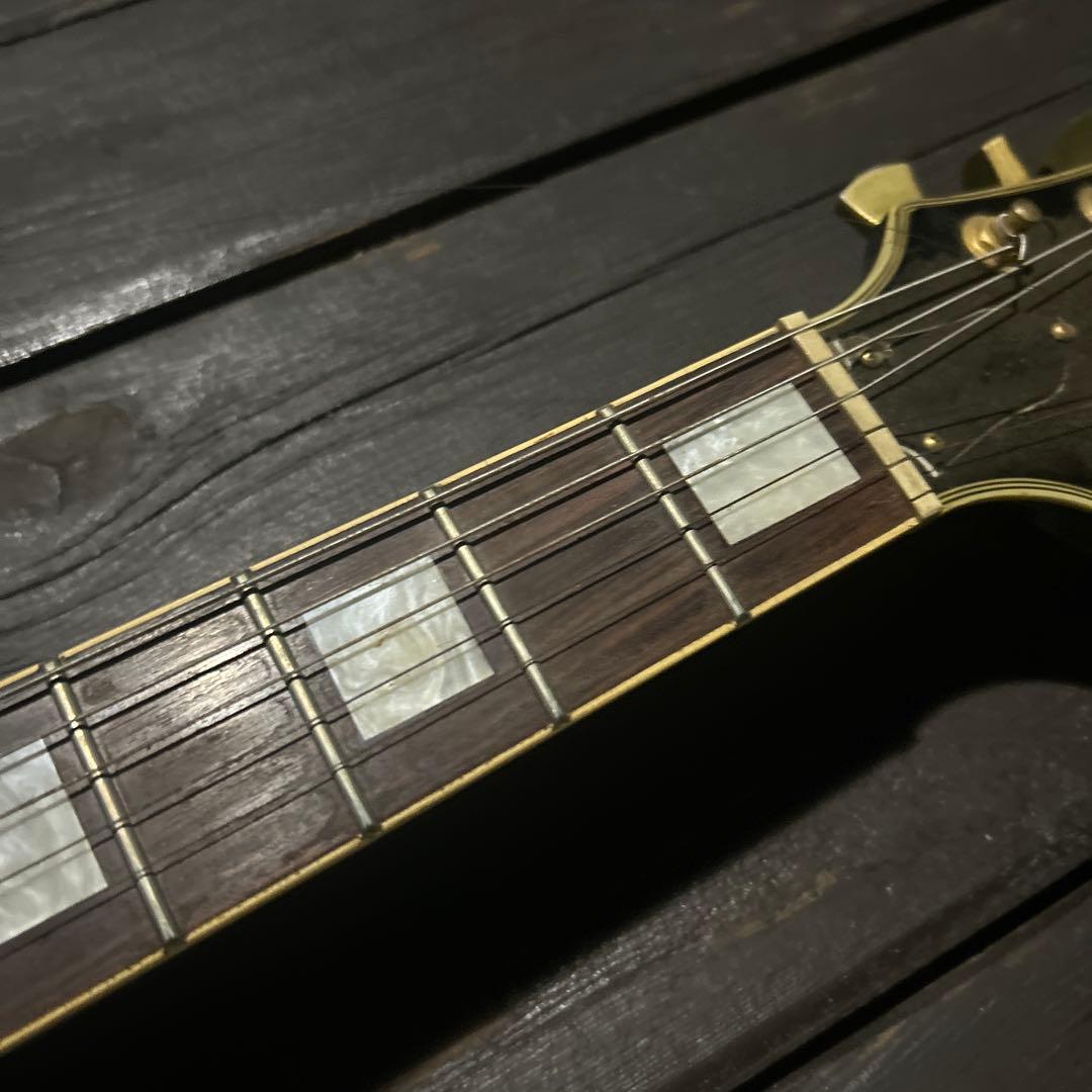 ビンテージ➕新機能　東海楽器の海外ブランドGESSION LP