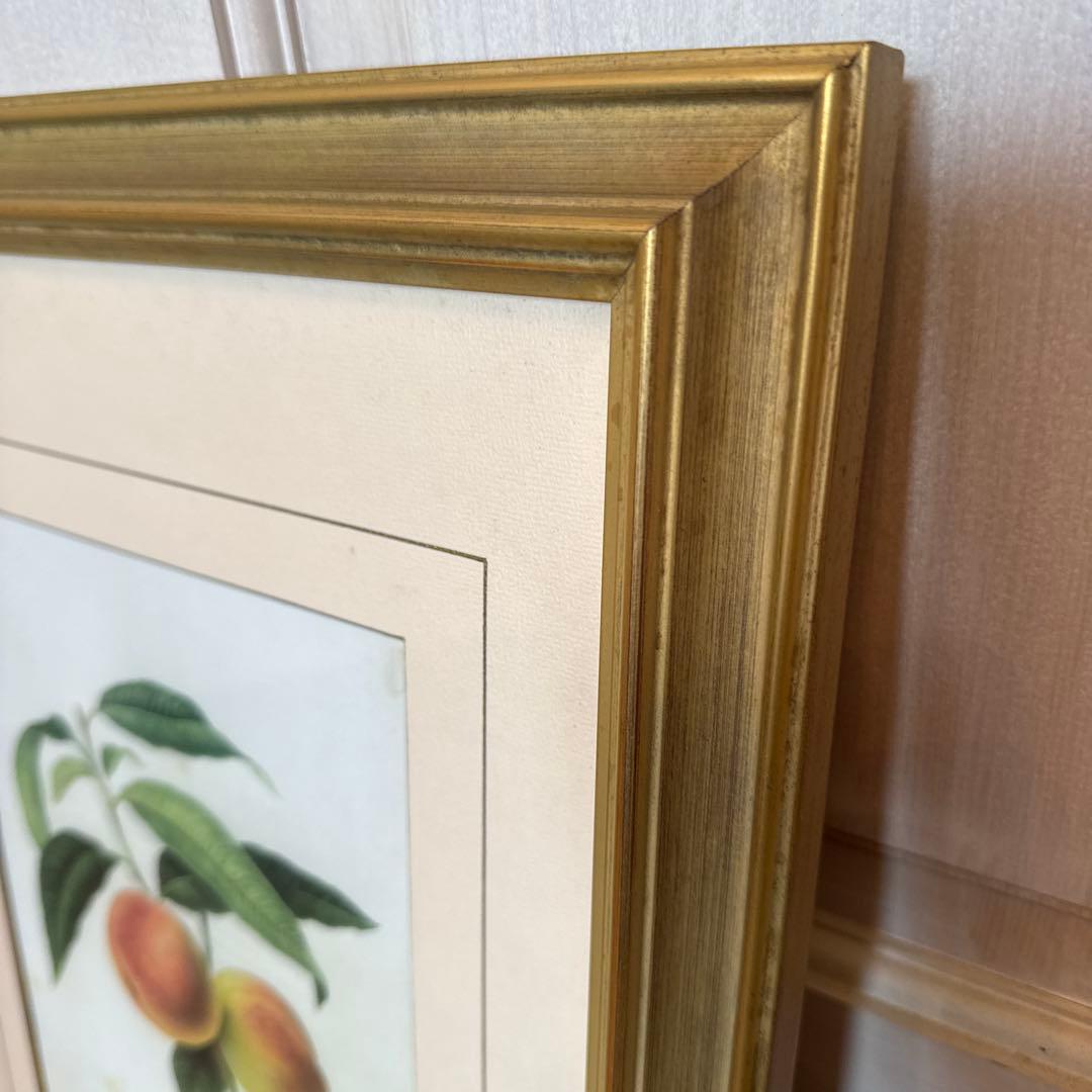 ピエール=ジョゼフ・ルドゥーテ 額縁