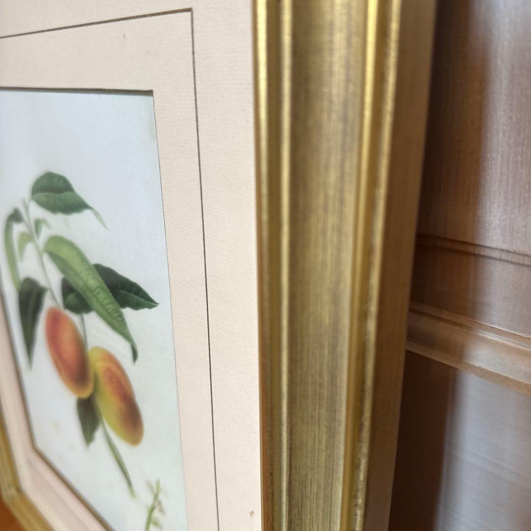 ピエール=ジョゼフ・ルドゥーテ 額縁