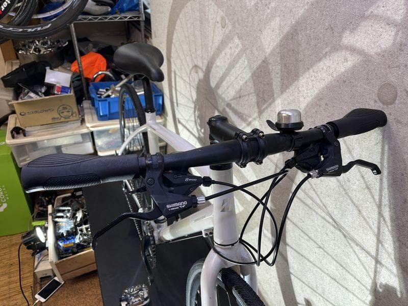 BRIDGESTONE ANCHOR RL1 disc ブリヂストン　ホワイト