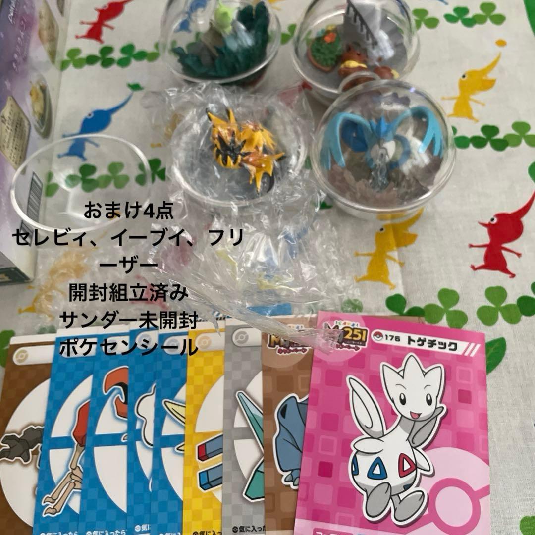 合計11個　ポケモンテラリウム4 +他6個　ブラッキーなし