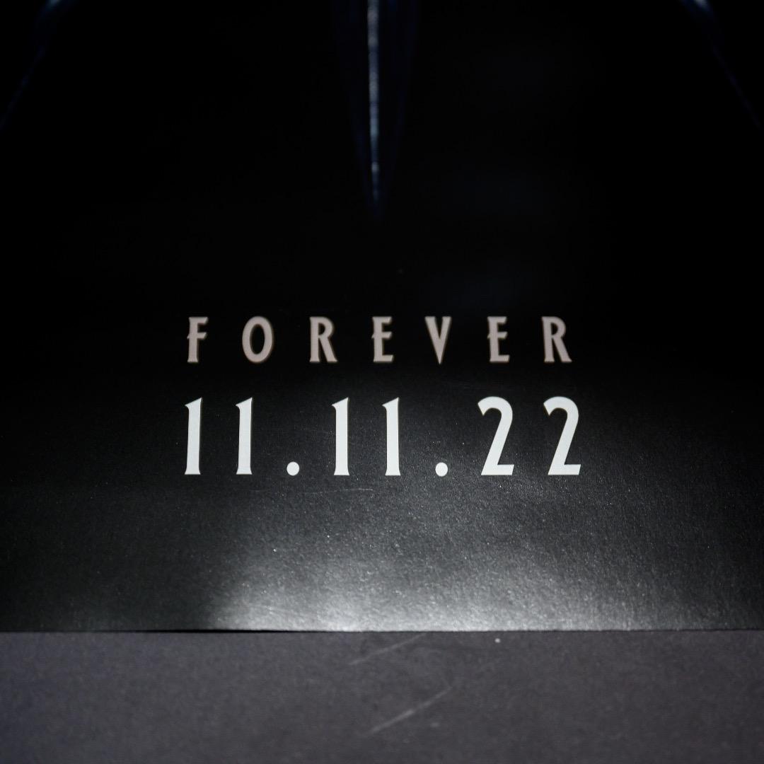 【映画館用両面ポスター】ブラックパンサー／ワカンダ・フォーエバー Ver.A