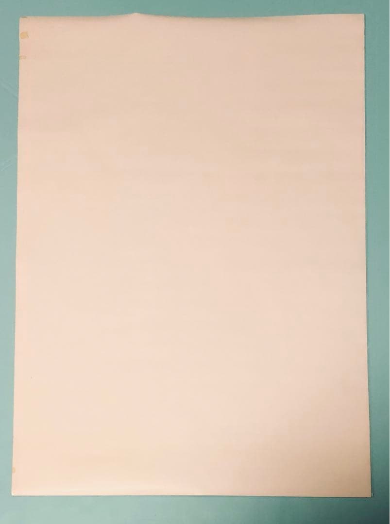 redballoon 走り出す季節 B2サイズ プロモーションポスター 激レア