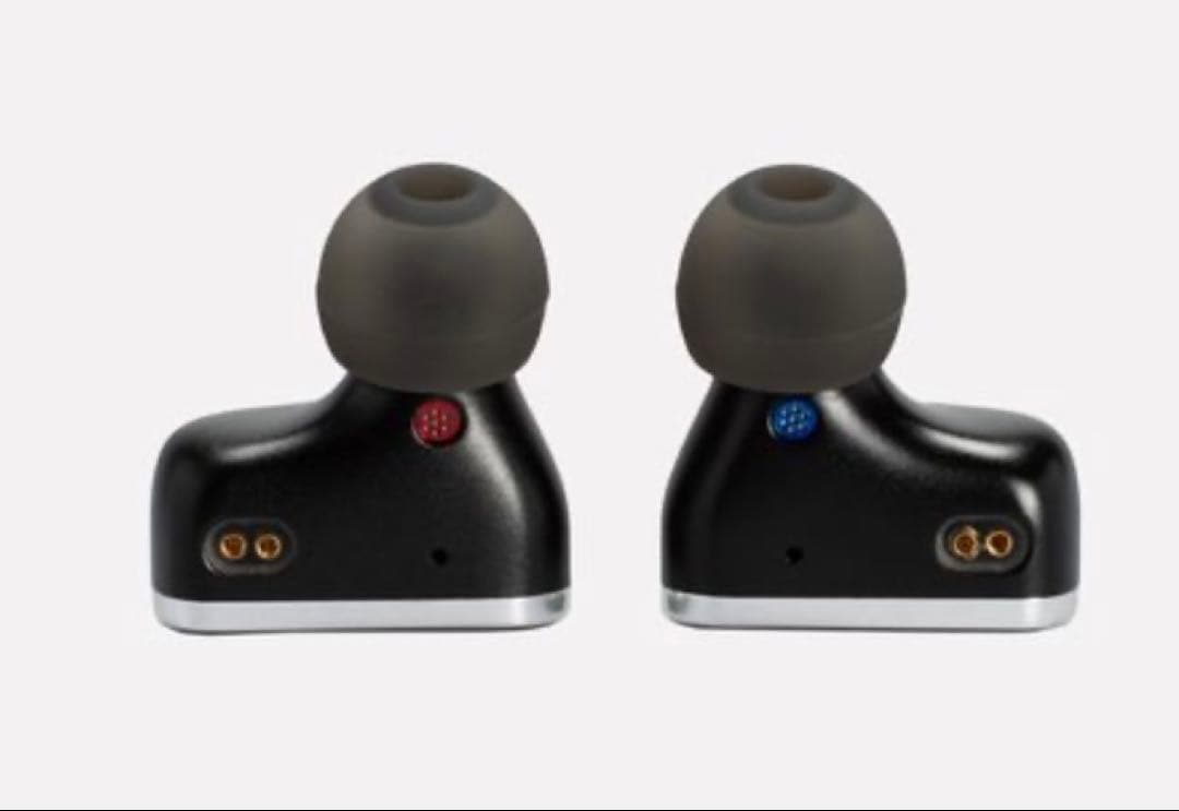 【新品未使用】ゴスペラーズ 30周年記念限定イヤホン