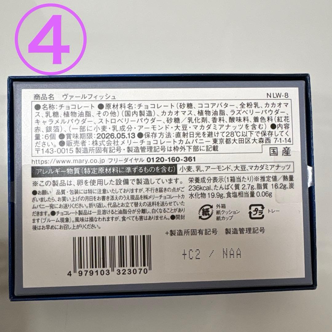 ナハトラビュリント 2026 4種類