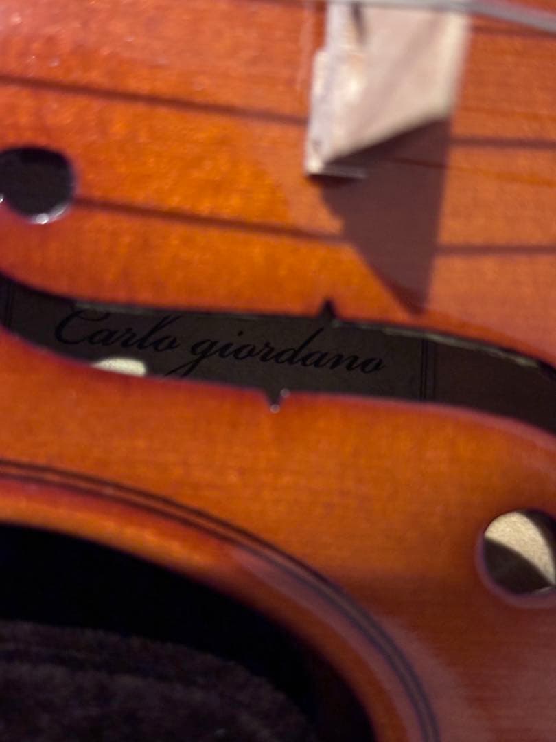 カルロジョルダーノ バイオリン 1/4サイズ VS-F1 子供用