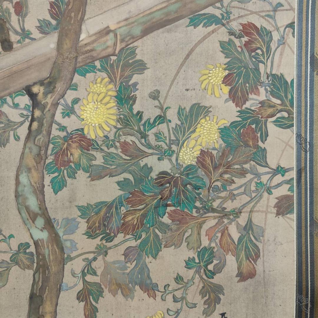 不詳/琴泉/菊に鴬図/小禽図/花鳥/布袋屋掛軸A-440