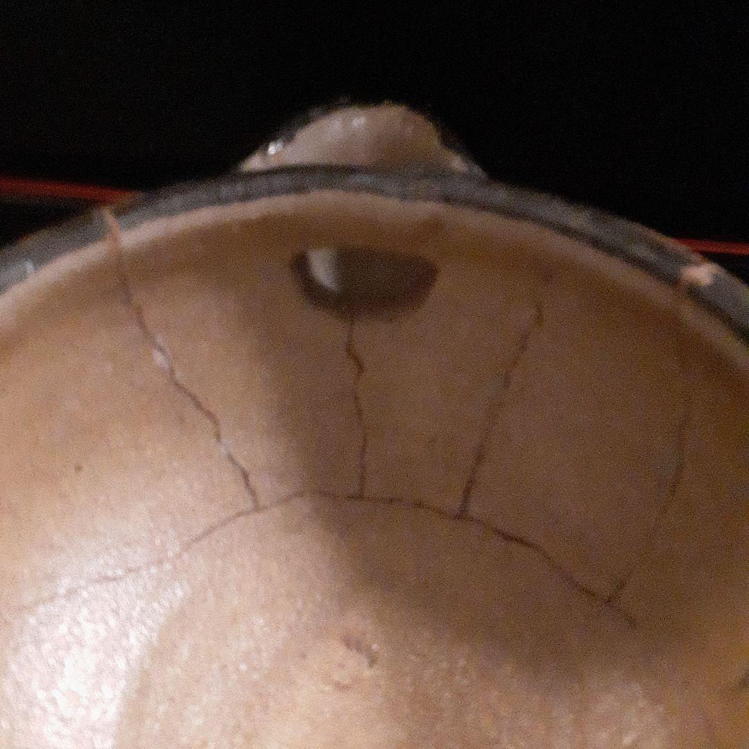 絵唐津皮鯨片口