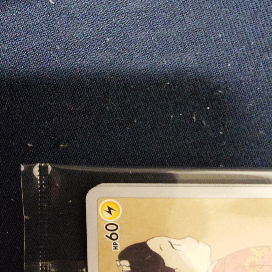 ポケモン切手BOX～ポケモンカードゲーム 見返り美人・月に雁セット～