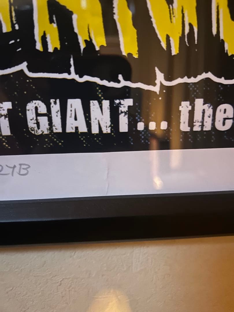 ロッキンジェリービーン　シルクスクリーン ゴジラ　VS エヴァンゲリオン