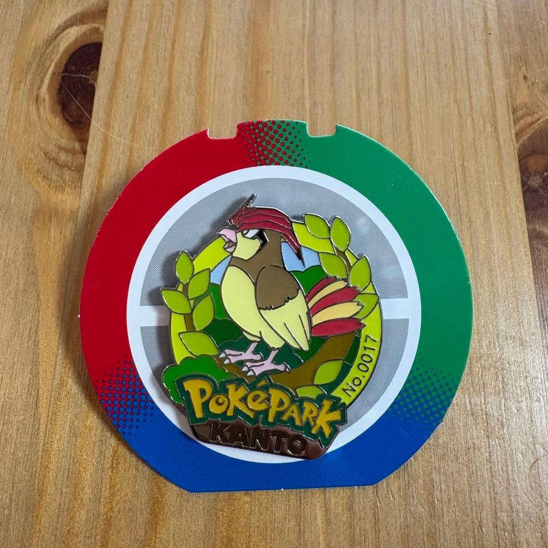 【美品】ポケパークカントー限定 ピンバッジ ピンズ 7個セット