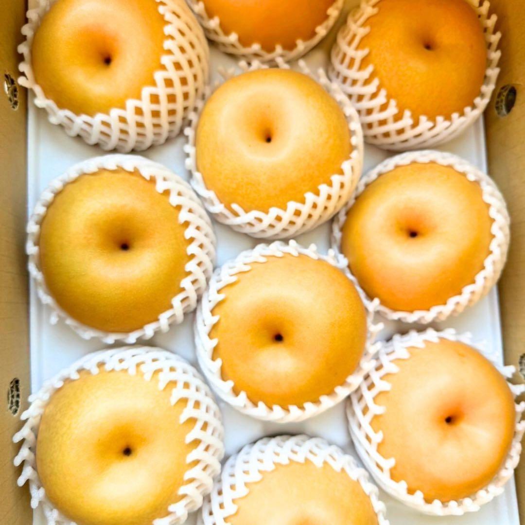 梨　新高梨　30玉　　01