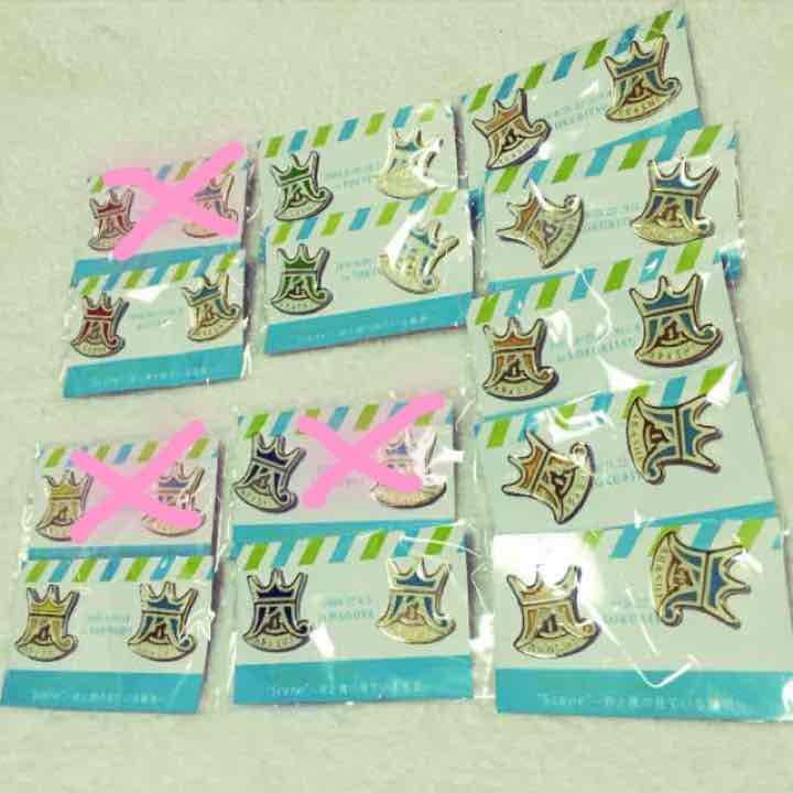 嵐  君と僕の見ている風景グッズ☆ピンバッジ