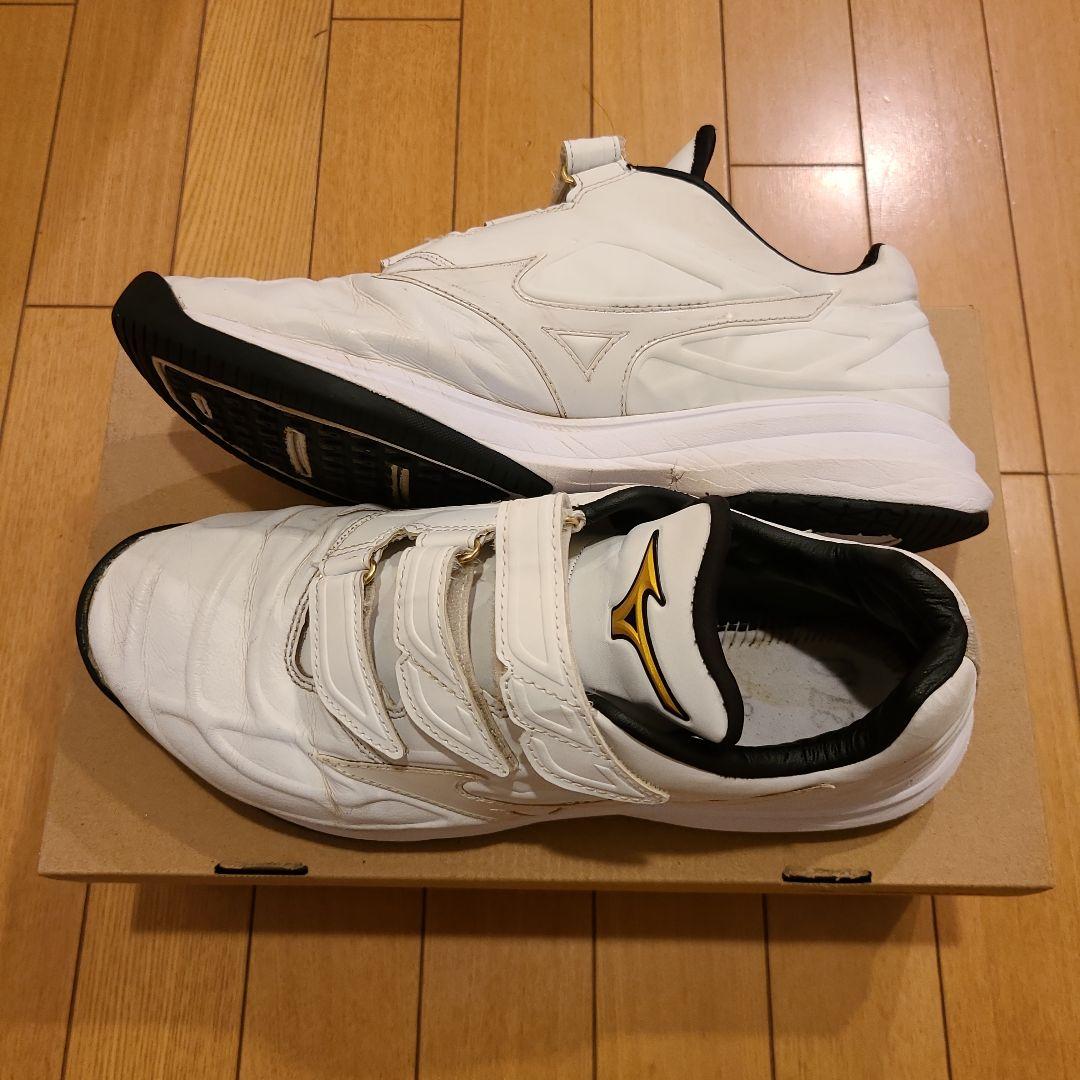 ミズノプロ トレーニングシューズ 27.0㎝