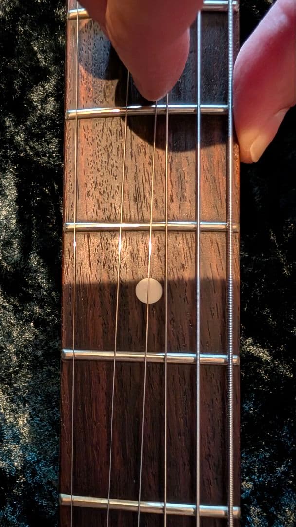 HISTORY TH-SV/R VWH フジゲン heritage wood