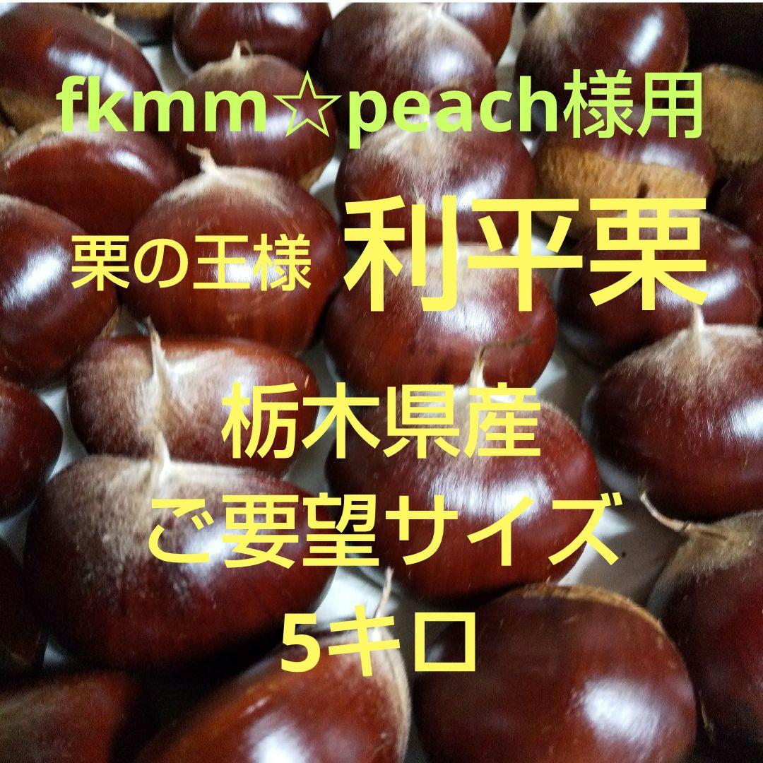 fkmm☆peach様用 栃木県産 利平栗 採れたて！ご要望サイズ 合計5キロ