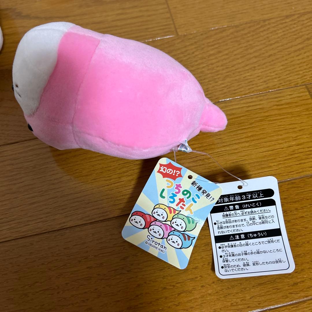 つちのこ　しろたん　つちのこたん　6個　約15センチ