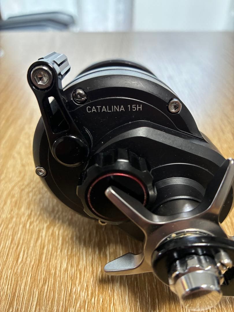 ダイワ19キャタリナ15H ベイトリール