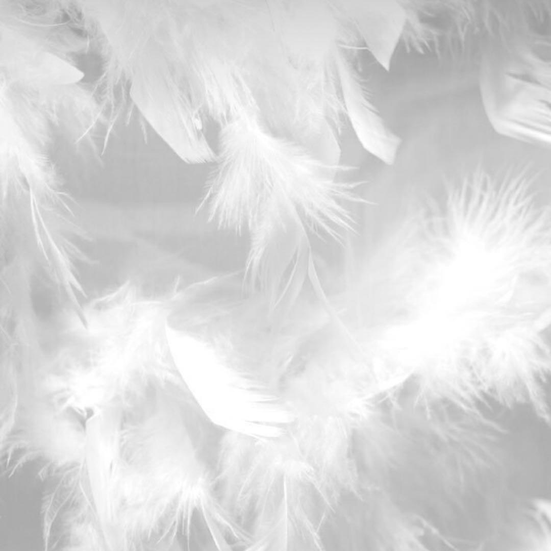 【 ピンクアメジスト フラワーアゲート バタフライ （台座付き）蝶々 桜瑪瑙 】