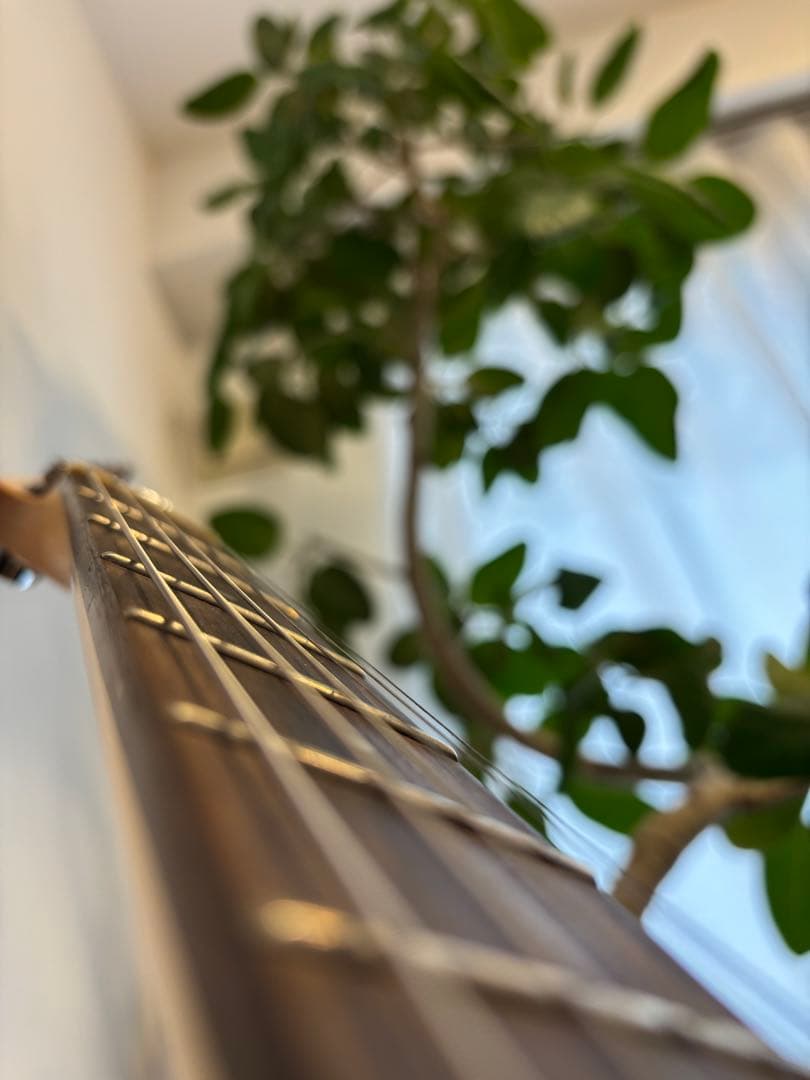 Elioth ブラック エレキギター　美品