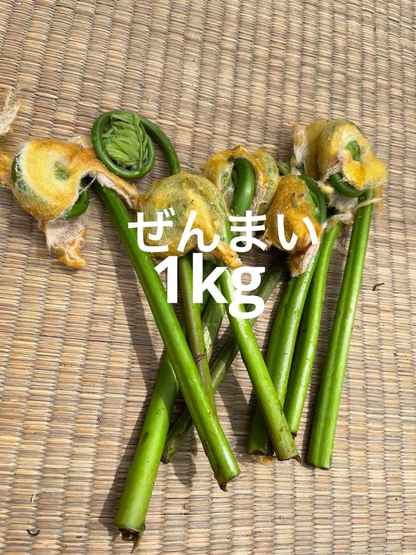 ぜんまい1kg