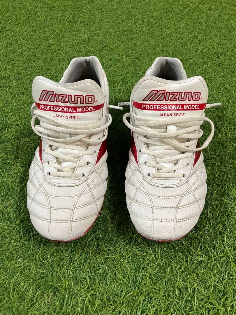 【限定品】モレリア2JAPAN AG 25.0cm