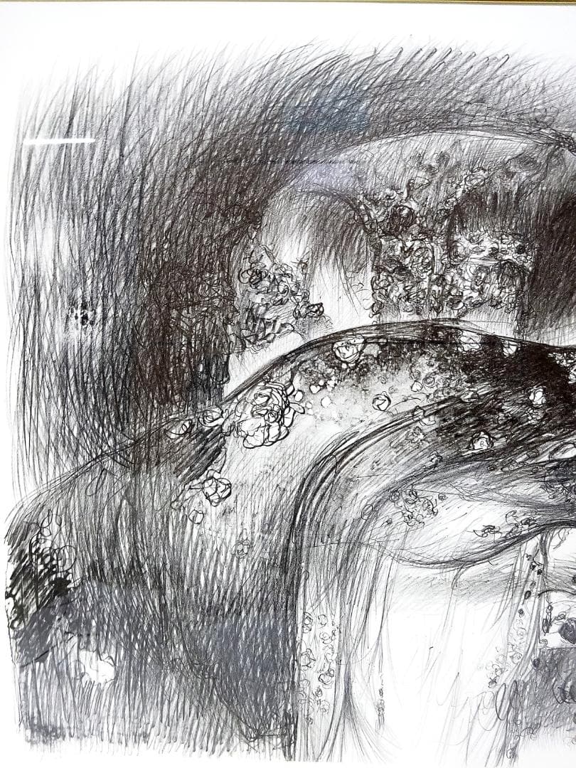 #天野喜孝 #吸血鬼 #版画 #リトグラフ #共箱 #アールビバン保証書