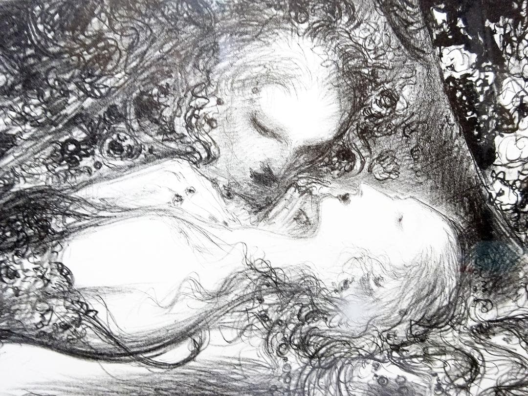 #天野喜孝 #吸血鬼 #版画 #リトグラフ #共箱 #アールビバン保証書