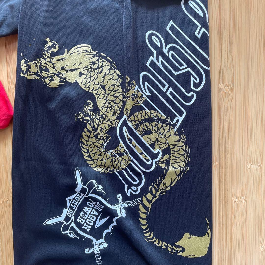 【希少】FIGHT DO ドラゴンパンツ　メンズＭ