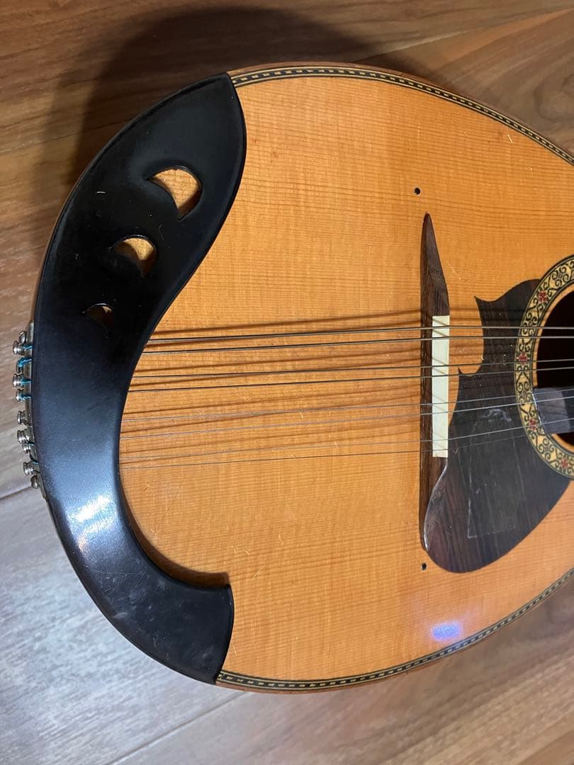 マンドリン　M-210 ハードケース付き　弦楽器　SUZUKI VIOLIN