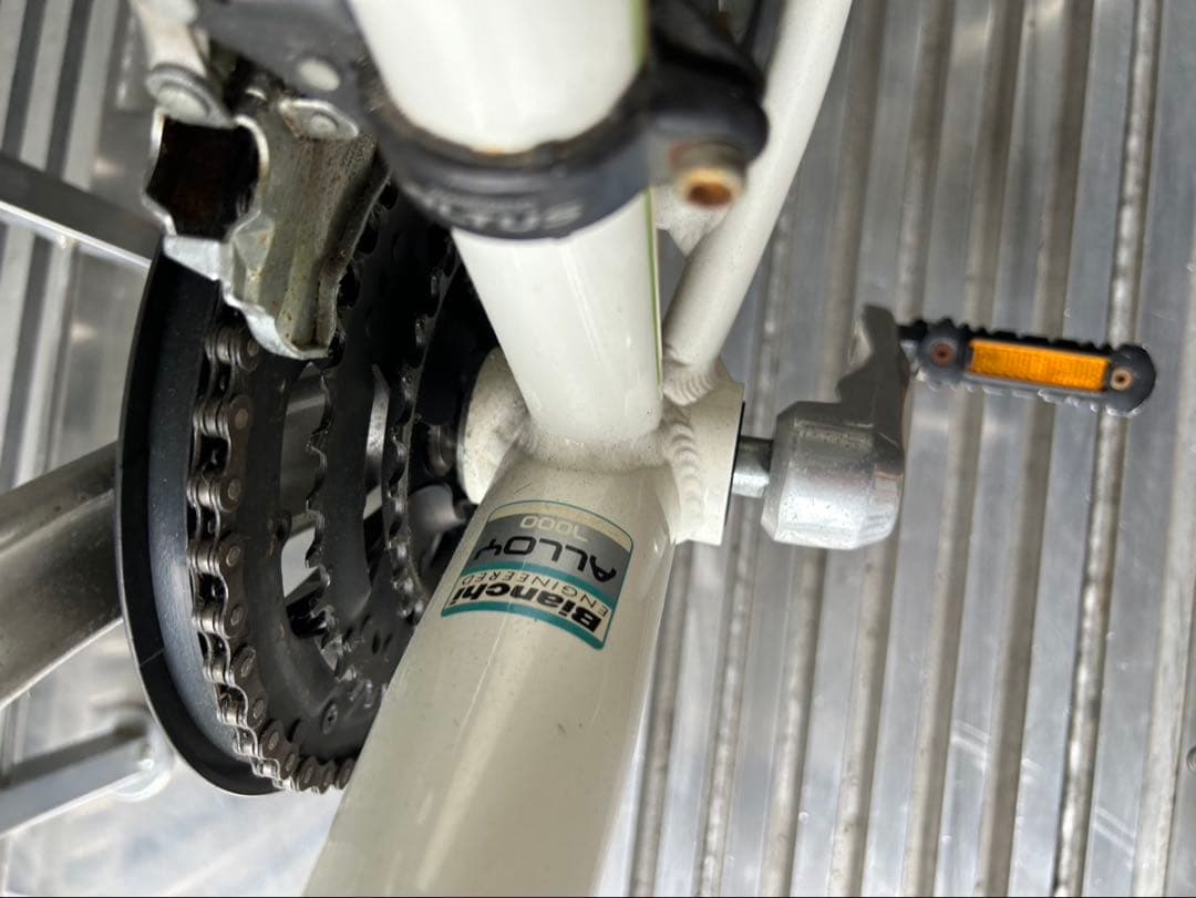 引き取り可能 Bianchi ビアンキ　カメレオンテ