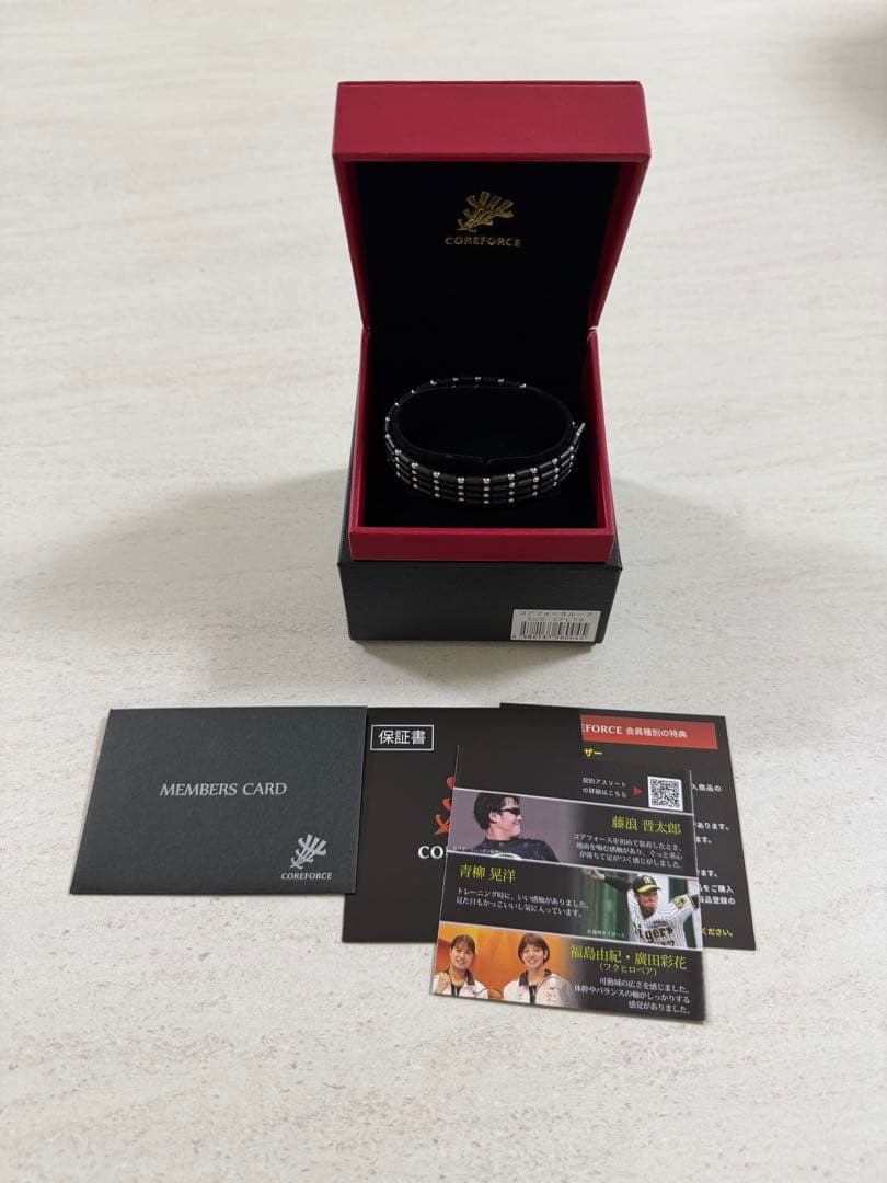 【美品】COREFORCE コアホース 黒 70cm