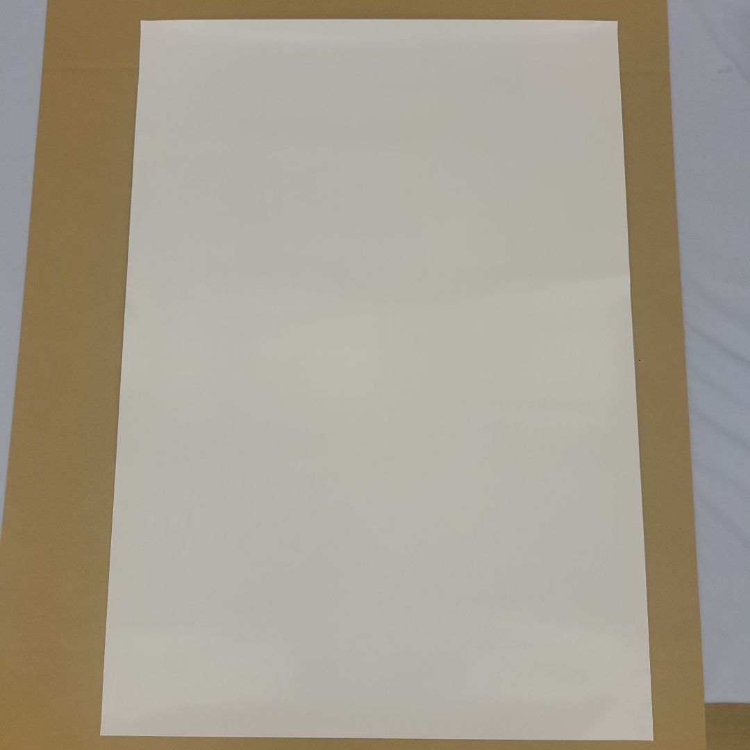 【非売品】任天堂スイッチ　スーパーマリオブラザーズ・ワンダー　ポスター２枚セット