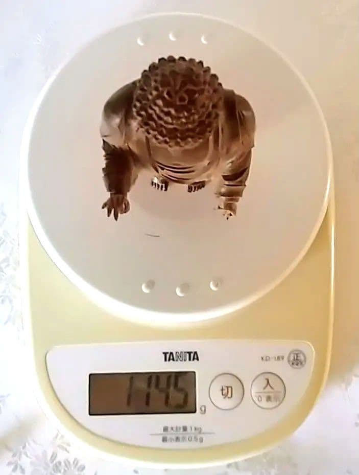 阿弥陀如来立像 4.5寸#570+#576 像は◆白檀 木彫 仏像