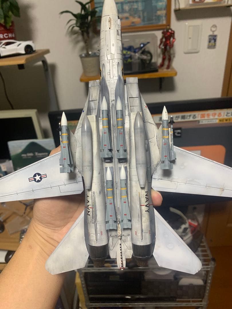 F-14A TOMCAT Jolly Rogers ミサイルフル搭載しました