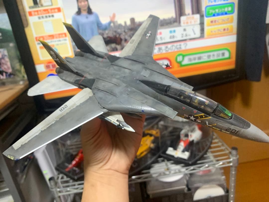 F-14A TOMCAT Jolly Rogers ミサイルフル搭載しました