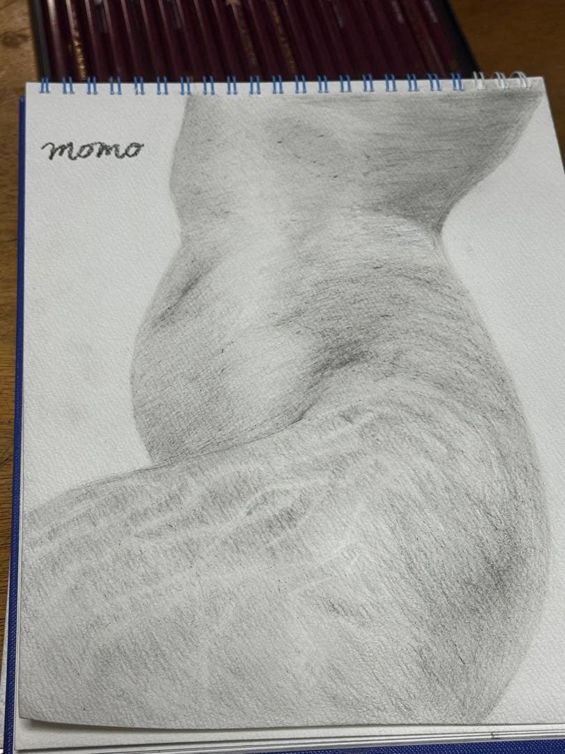 絵のご依頼承ります(1人➕鉛筆のみ)