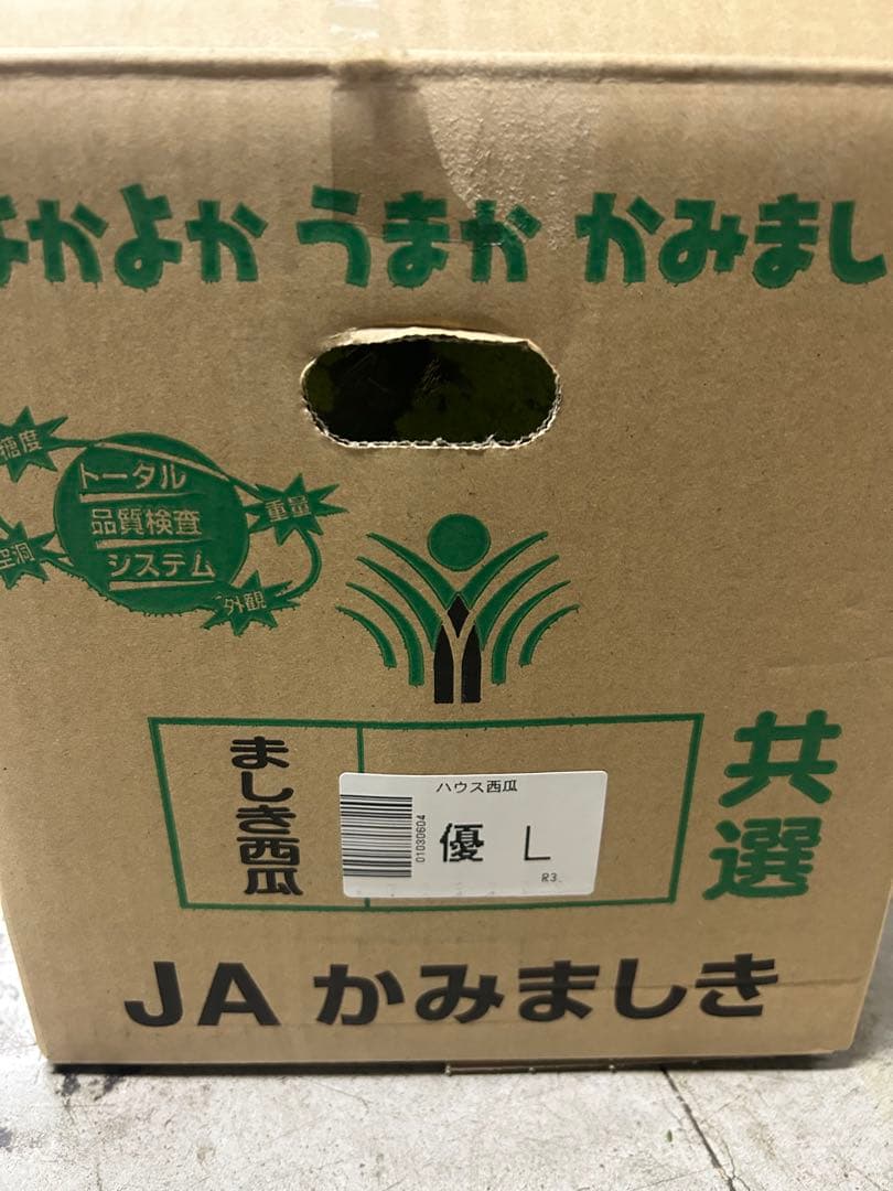 熊本県スイカ優Lサイズ2玉入り　10kg以上