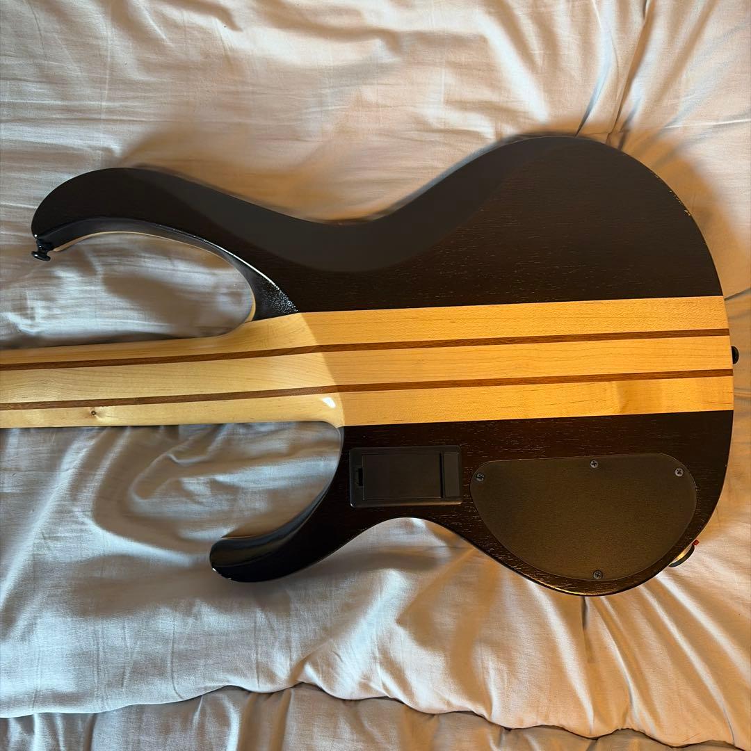 Ibanez / BTB845V 希少なHi-C仕様の5弦ベース