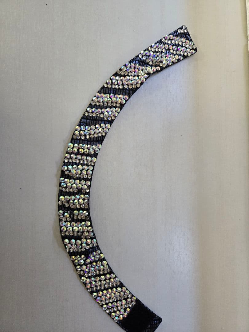 豪華☆社交ダンスラテンドレス　フルオーダー品